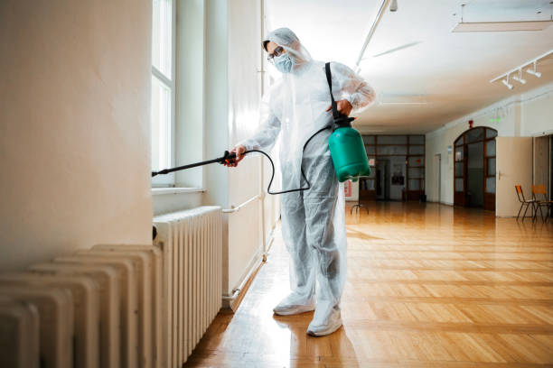 Best Pest Removal Services  in Alamo, TN