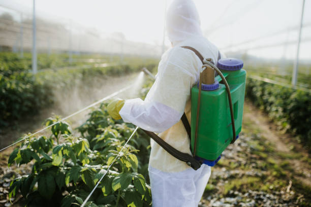 Insect Control in Alamo, TN